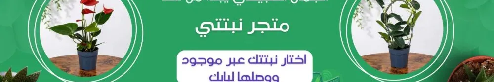 نبتي